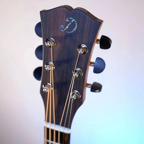 Guitare Dowina Sauvignon GA