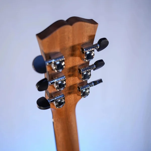 Guitare Dowina Sauvignon GA