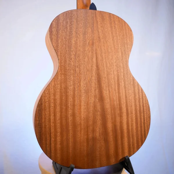 Guitare Dowina Sauvignon GA
