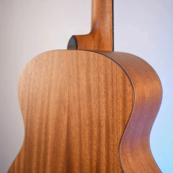 Guitare Dowina Sauvignon GA