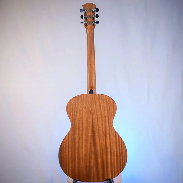 Guitare Dowina Sauvignon GA
