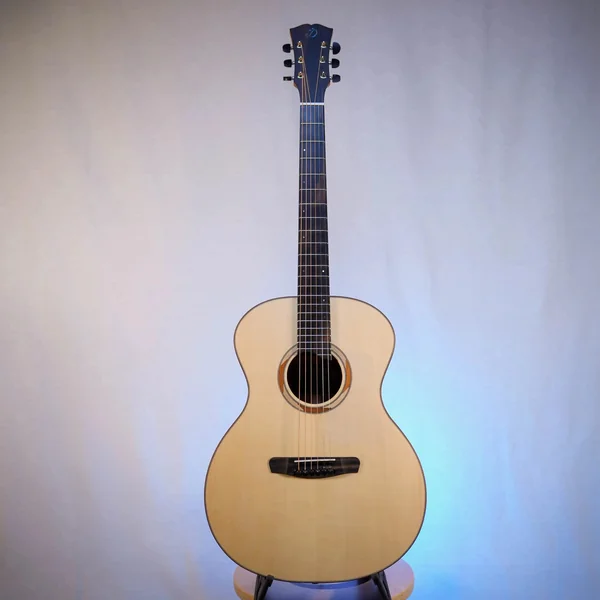 Guitare Dowina Sauvignon GA