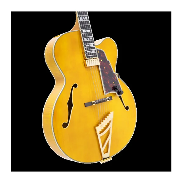Guitare Electrique D'ANGELICO Excel EXL-1 Amber HB