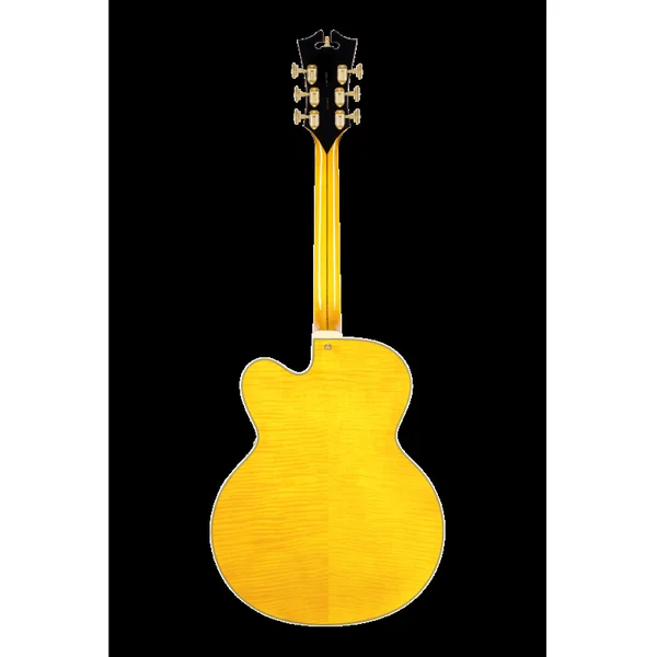 Guitare Electrique D'ANGELICO Excel EXL-1 Amber HB