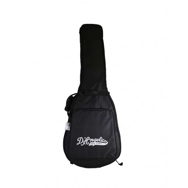 Guitare Electrique D'ANGELICO Premier DC XT - Salin Desert Gold + housse