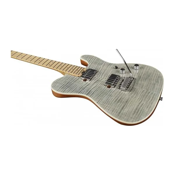 Guitare Electrique EKO TERO-MUSA801-GREY - Tero 801 Musa Grey Flamed