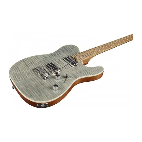Guitare Electrique EKO TERO-MUSA801-GREY - Tero 801 Musa Grey Flamed