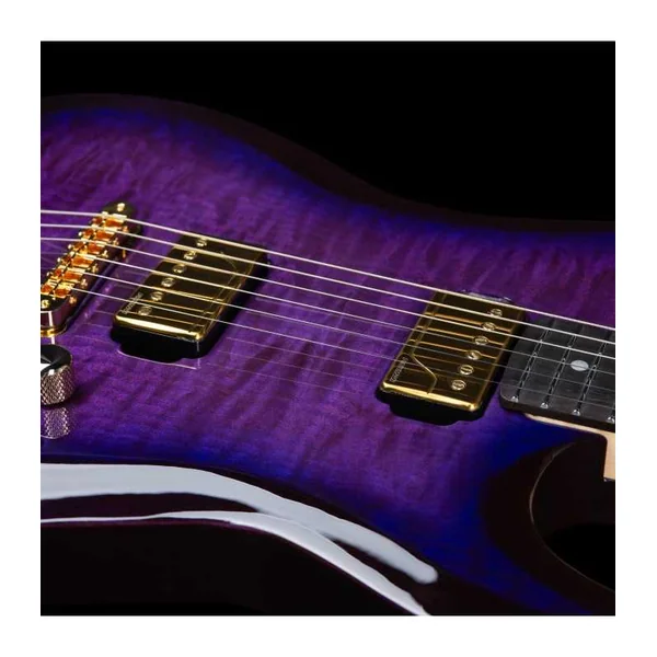 Guitare Electrique GODIN Artisan ST-II Black Amethyst + Etui