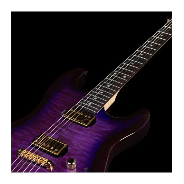 Guitare Electrique GODIN Artisan ST-II Black Amethyst + Etui