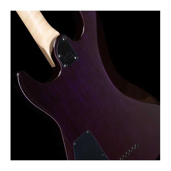 Guitare Electrique GODIN Artisan ST-II Black Amethyst + Etui