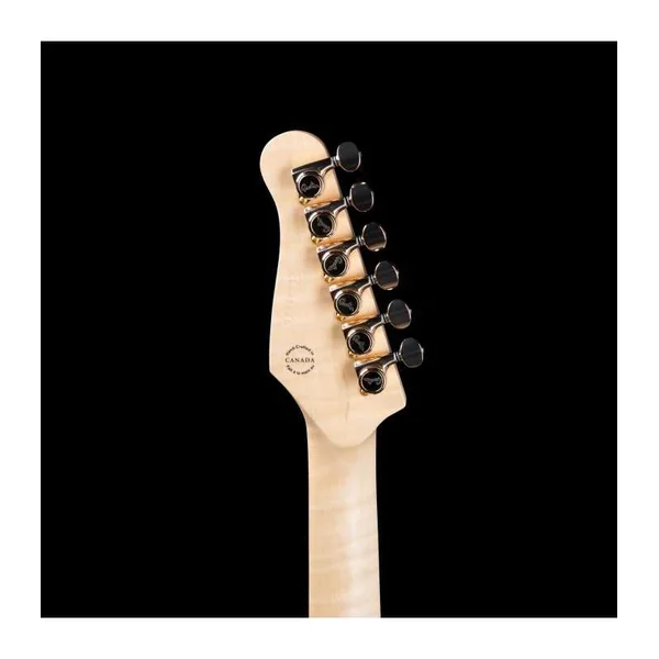 Guitare Electrique GODIN Artisan ST-II Black Amethyst + Etui