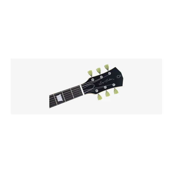 Guitare Electrique LARRY CARLTON L5 Amber Burst