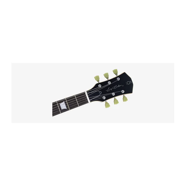 Guitare Electrique LARRY CARLTON L5 CAR
