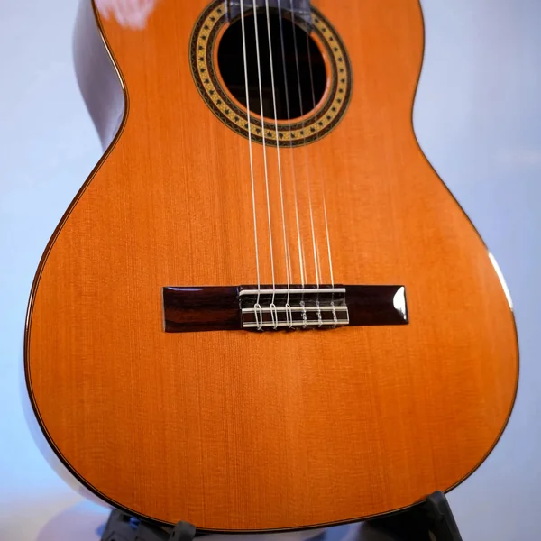 Guitare Esteve 6PS