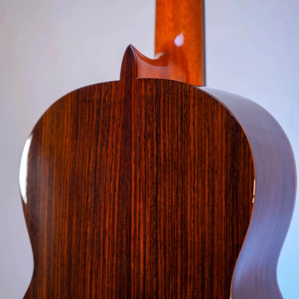 Guitare Esteve 6PS