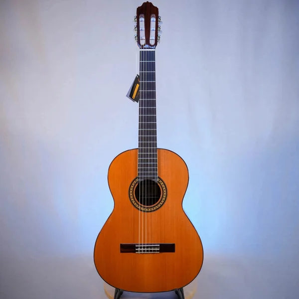 Guitare Esteve 6PS