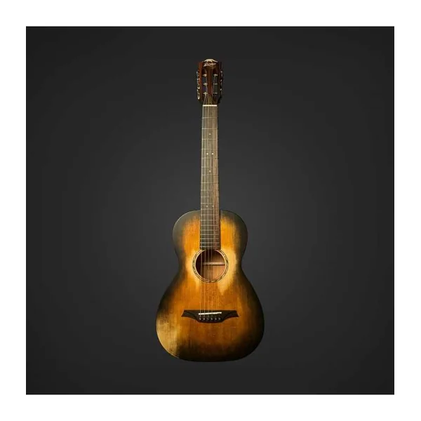 Guitare Folk BROMO BAR6H HS + housse