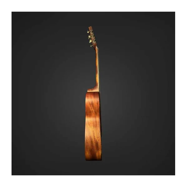 Guitare Folk BROMO BAR6H HS + housse