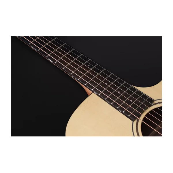 Guitare Folk Electro BLUE PERFORMANCE DREAD CW EW LRB1