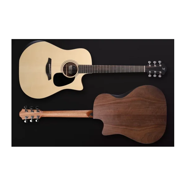 Guitare Folk Electro BLUE PERFORMANCE DREAD CW EW LRB1