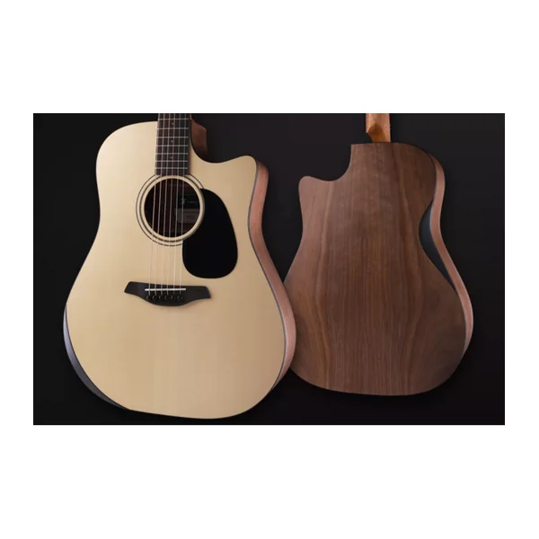 Guitare Folk Electro BLUE PERFORMANCE DREAD CW EW LRB1