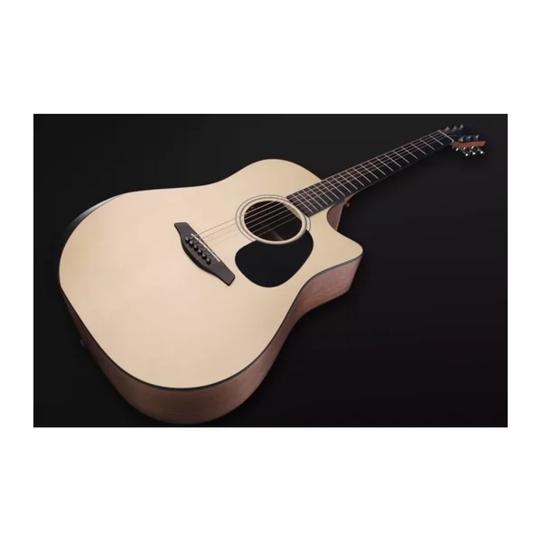 Guitare Folk Electro BLUE PERFORMANCE DREAD CW EW LRB1