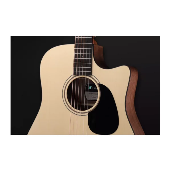 Guitare Folk Electro BLUE PERFORMANCE DREAD CW EW LRB1