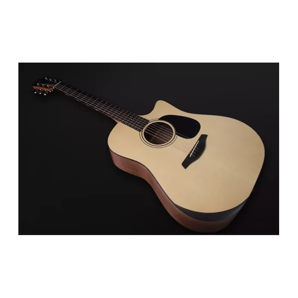 Guitare Folk Electro BLUE PERFORMANCE DREAD CW EW LRB1