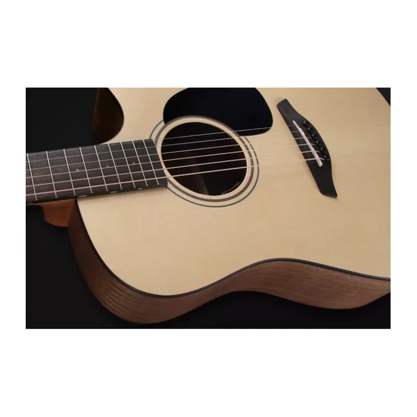 Guitare Folk Electro BLUE PERFORMANCE DREAD CW EW LRB1