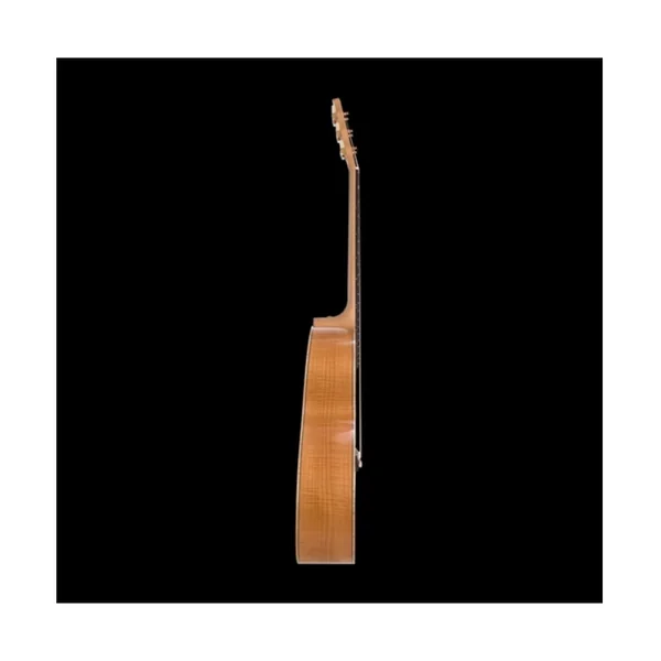 Guitare Folk Electro BROMO BAN7E + housse