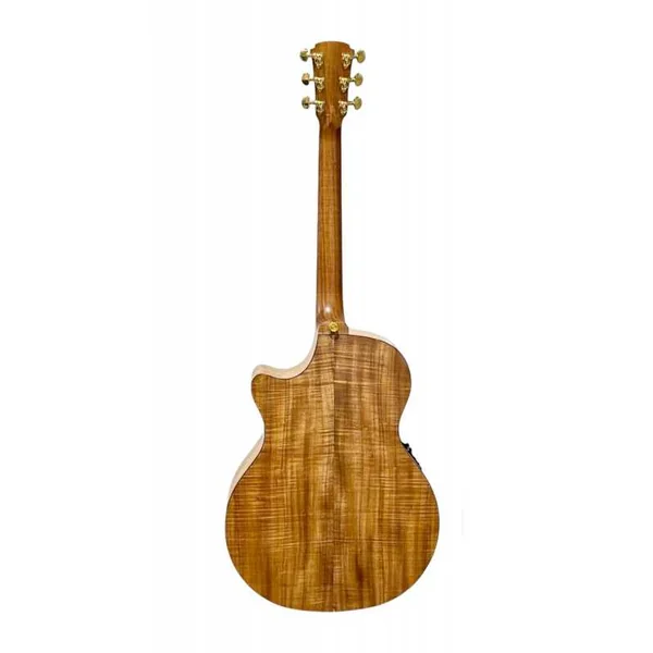 Guitare Folk Electro COLE CLARK STUDIO SRAN DELUXE