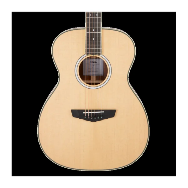 Guitare Folk Electro D'ANGELICO EXCEL TAMMANY JOSH TURNER