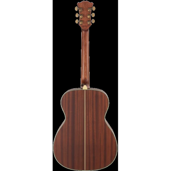 Guitare Folk Electro D'ANGELICO EXCEL TAMMANY JOSH TURNER