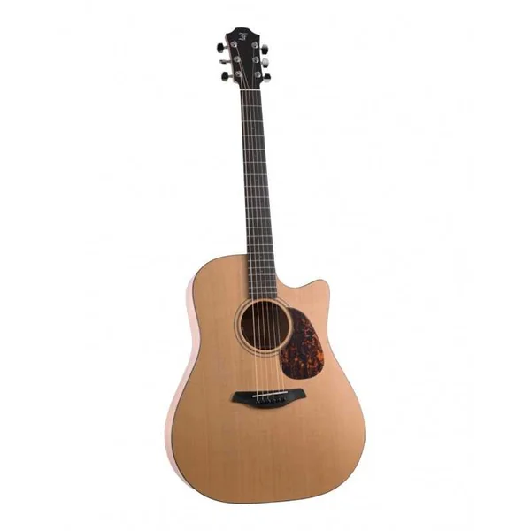 Guitare Folk Electro FURCH BLUE DREAD CW CM LRB1