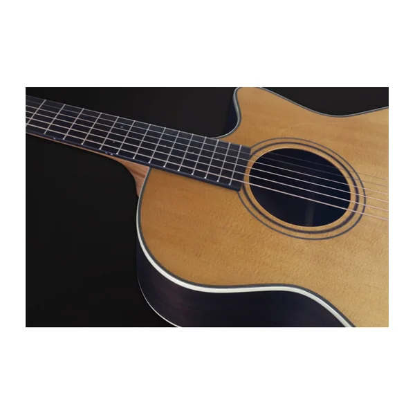 Guitare Folk Electro FURCH GREEN GRAND CW TR LRB1