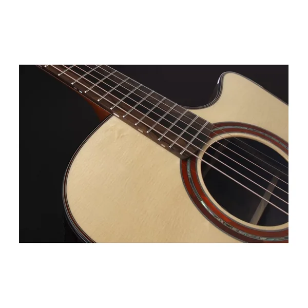 Guitare Folk Electro FURCH Limited Edition DREAD CW LR