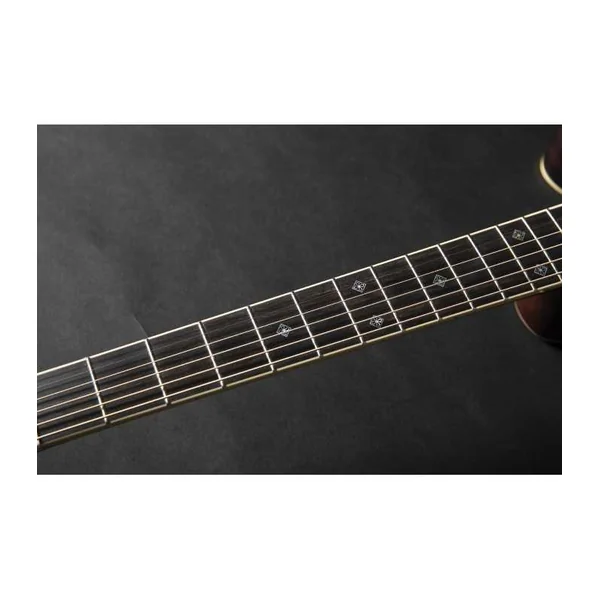 Guitare Folk Electro Takamine RNV460C - Nex Cutaway