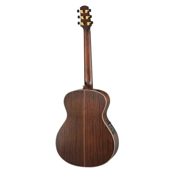 Guitare Folk Electro WALDEN BARYTON B103EH