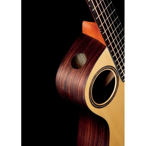 Guitare Folk Electro WALDEN BARYTON B103EH