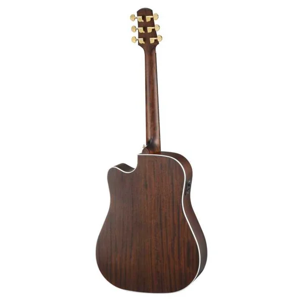 Guitare Folk Electro WALDEN DREADNOUGHT D603CEW