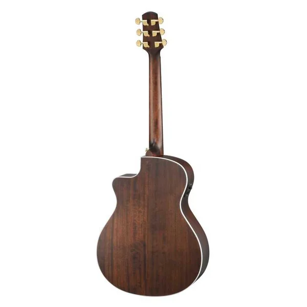 Guitare Folk Electro WALDEN GRAND AUDITORIUM G633CEW