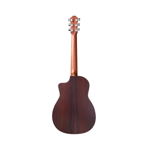 Guitare Folk FURCH PIONEER ER