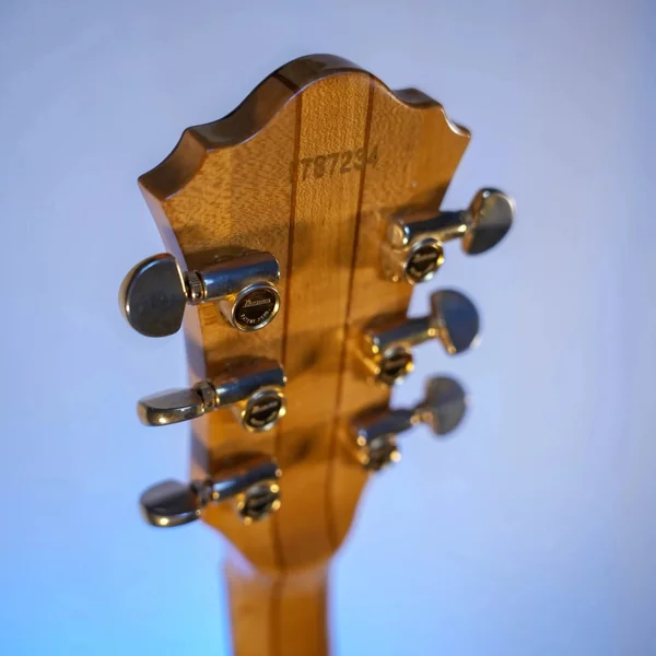 Guitare Ibanez Musician MC300 Japon