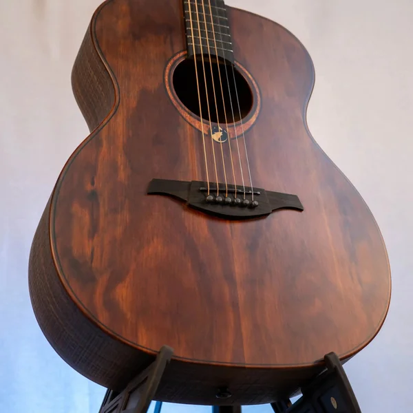 Guitare Lag Sauvage A