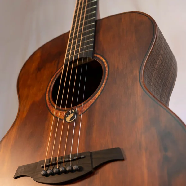 Guitare Lag Sauvage A
