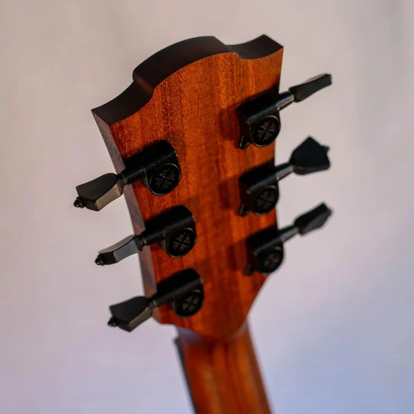 Guitare Lag Sauvage A