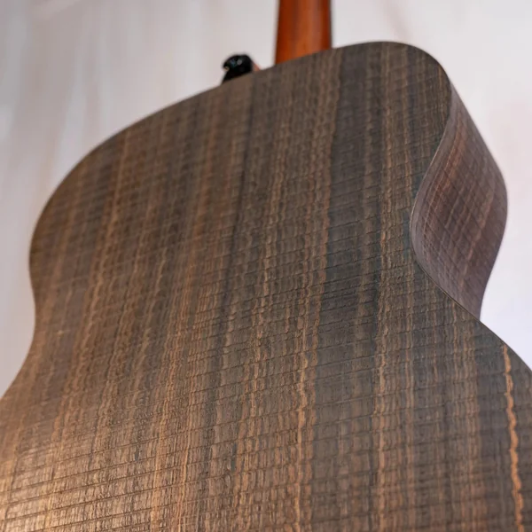 Guitare Lag Sauvage A