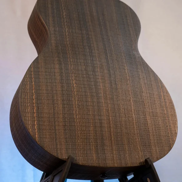 Guitare Lag Sauvage A