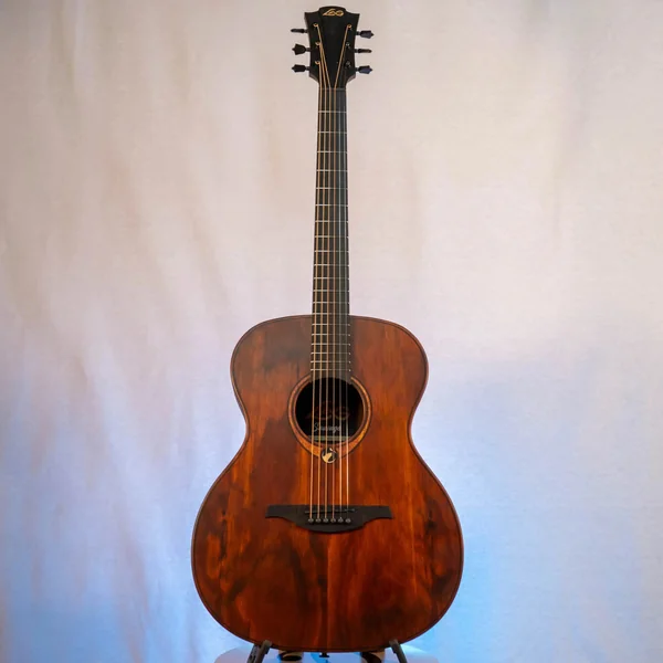 Guitare Lag Sauvage A
