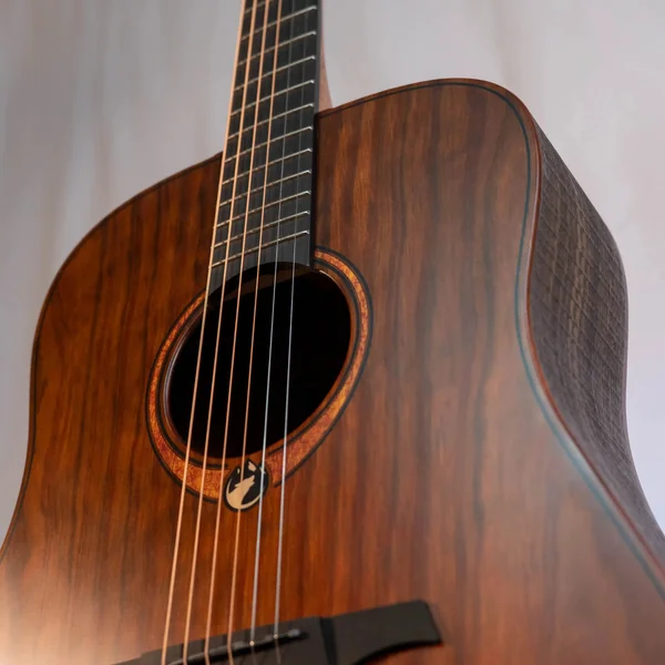 Guitare Lag Sauvage D